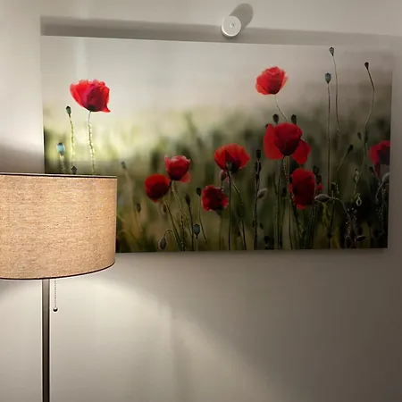 Apartmán Fachwerk Rustikal Melsungen